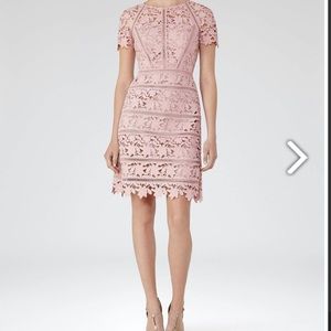 Reiss Orchid Lace Dress, NWT, retails for $465